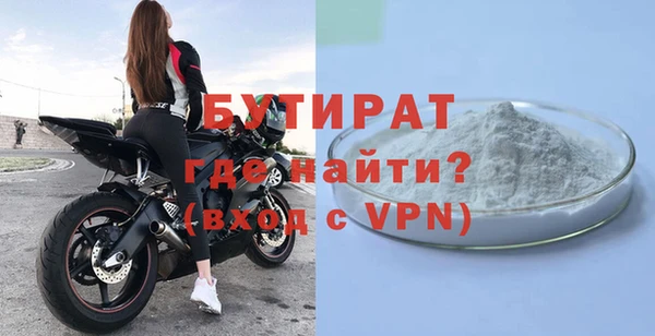 индика Володарск