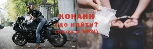 индика Володарск