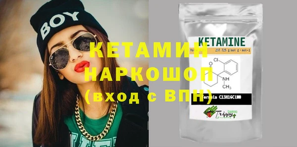 индика Володарск