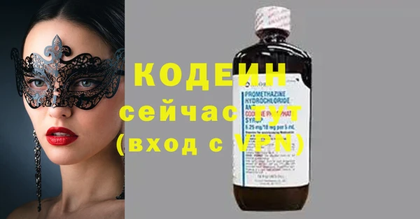 индика Володарск