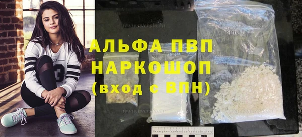 индика Володарск