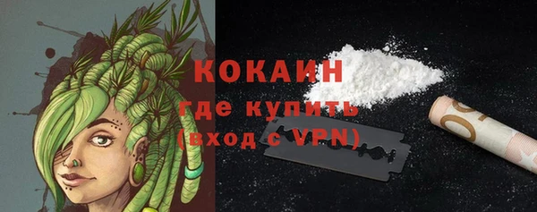 индика Володарск