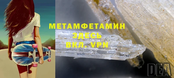индика Володарск