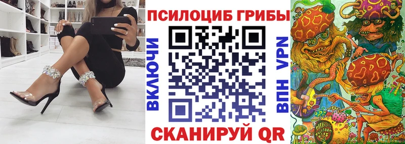 Купить где Свободный Галлюциногенные грибы прущие грибы