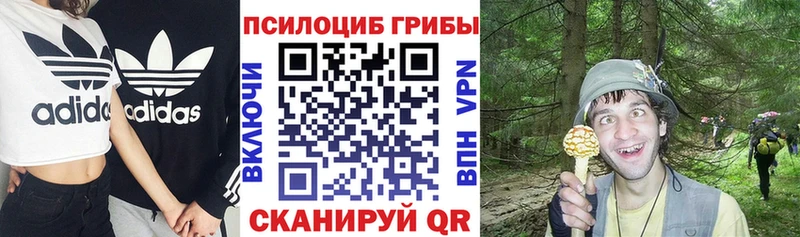 Псилоцибиновые грибы мухоморы Свободный